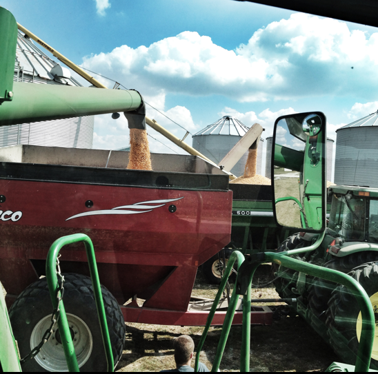 filling grain bin with corn by auger wagon