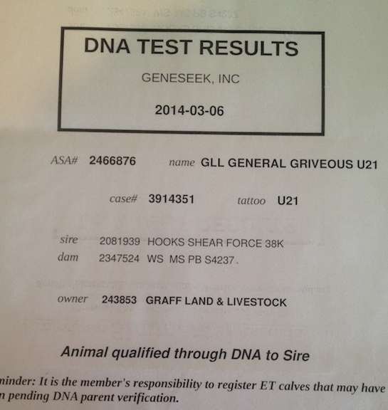 dna test results
