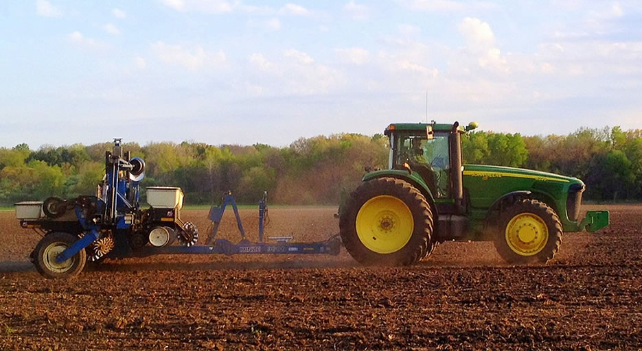 planting corn