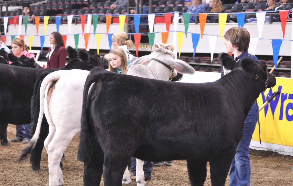 Bella & Adelina in Freedom Hall