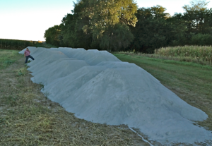 lime piles