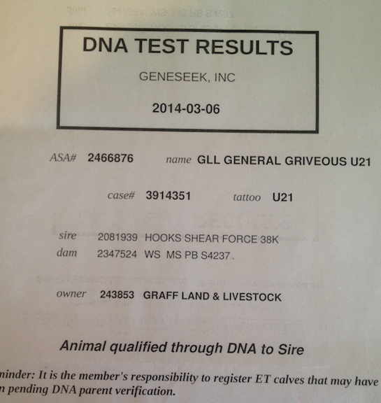 Positive Fake Paternity Test Results Template Portal Tutorials