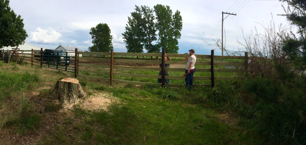 new fence